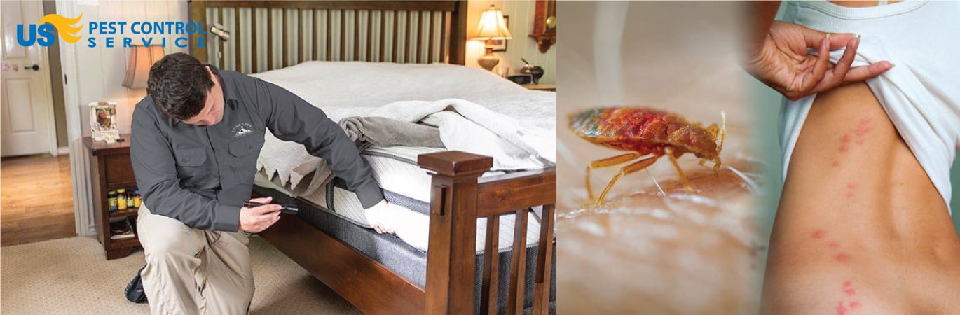 Bed-Bug-Control